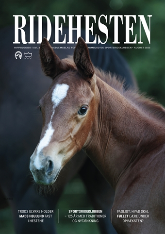Ridehesten - August
